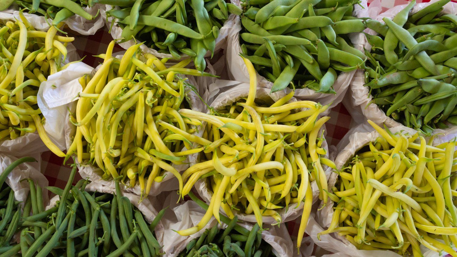 A bunch of different types of green beans are stacked on top of each other.