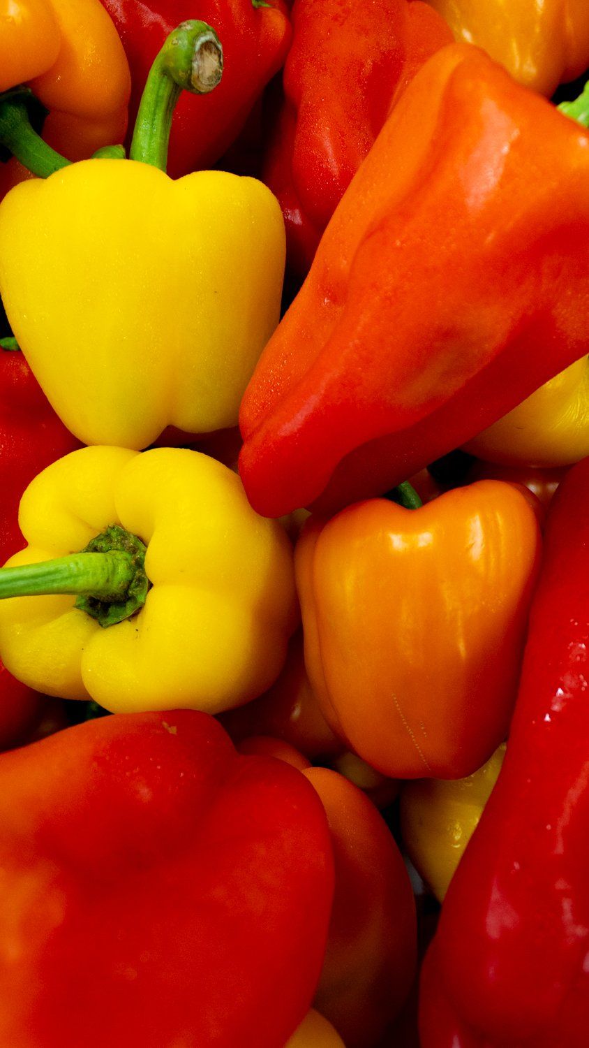 A pile of red yellow and orange peppers with green stems