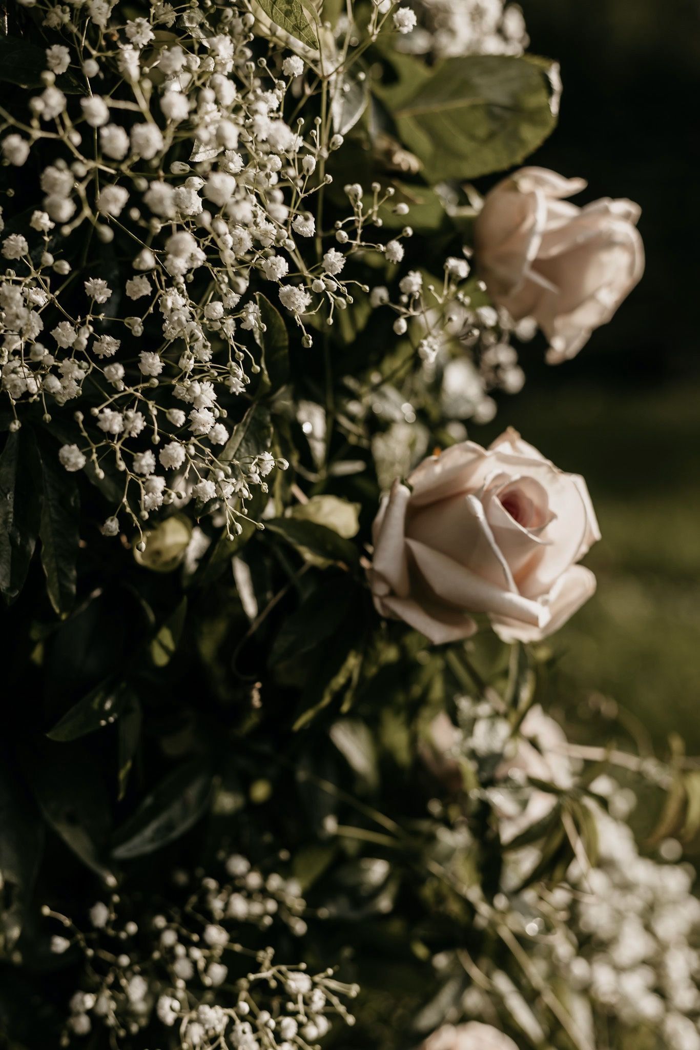 Prachtige rozen van Marlou & Bloemen 