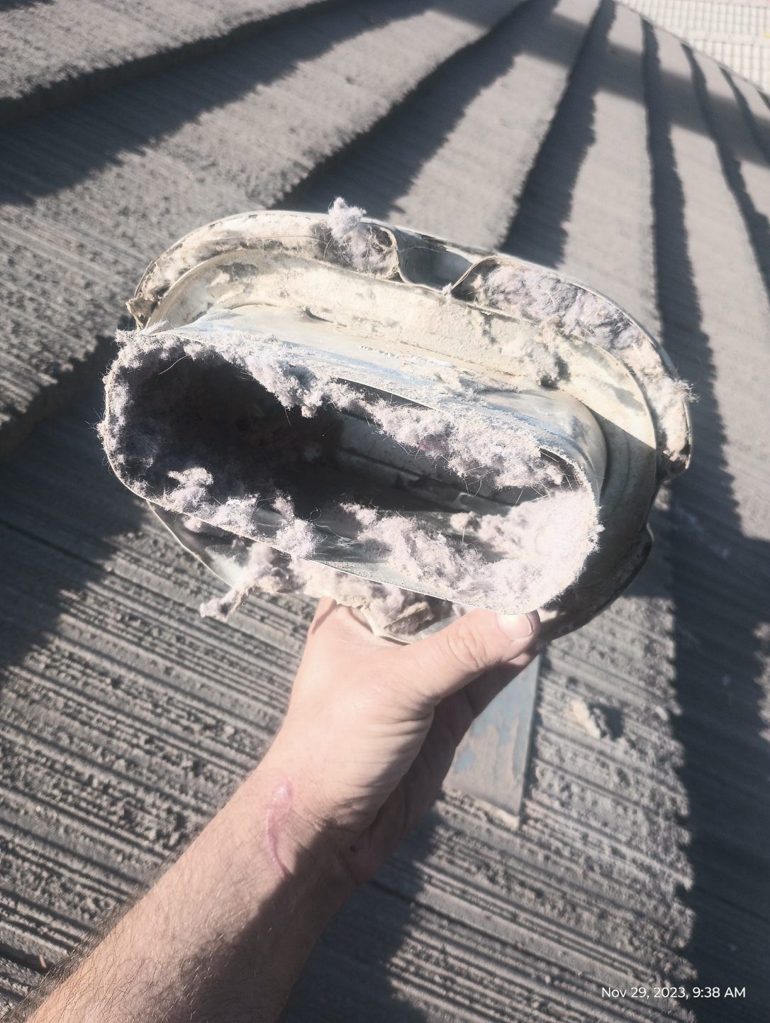 Hand holding a charred, damaged object on a concrete surface in bright sunlight