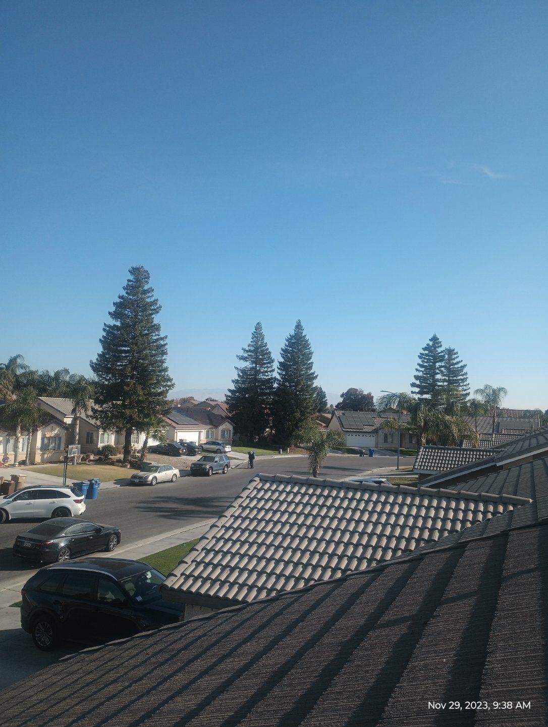 Residential street with parked cars, tall trees, and a clear blue sky over rooftops