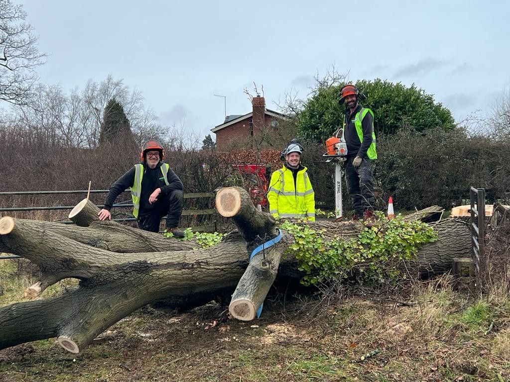 A group of men are standing around a pile of logs.