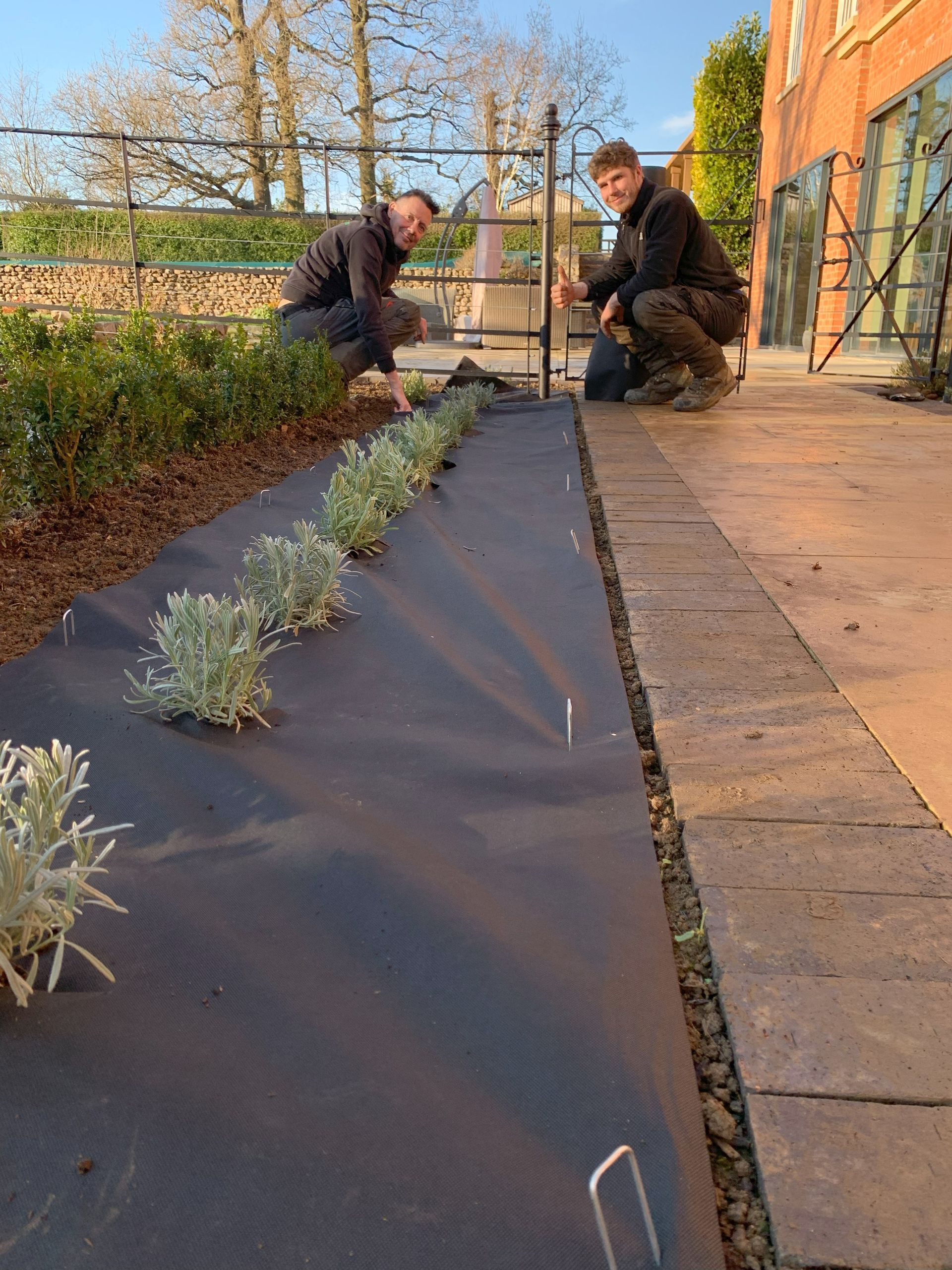 Seasonal Planting and Flower Bed Care