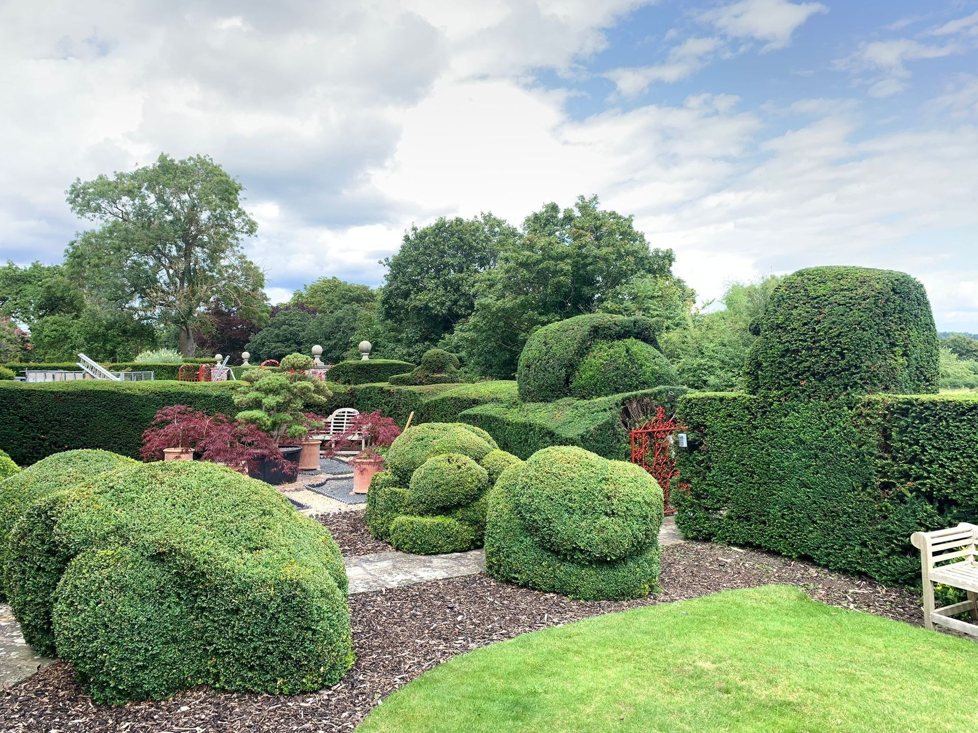 A garden filled with lots of bushes and trees
