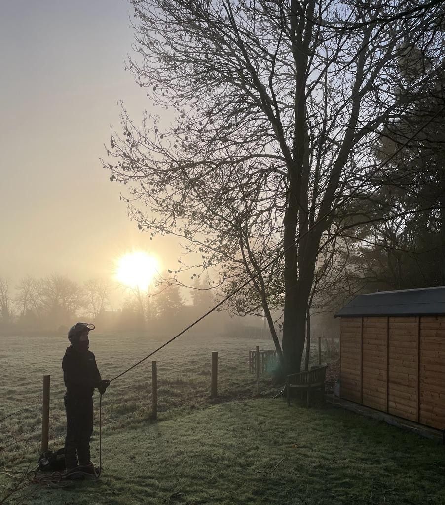 A person is standing in a field with a fence and a tree in the background