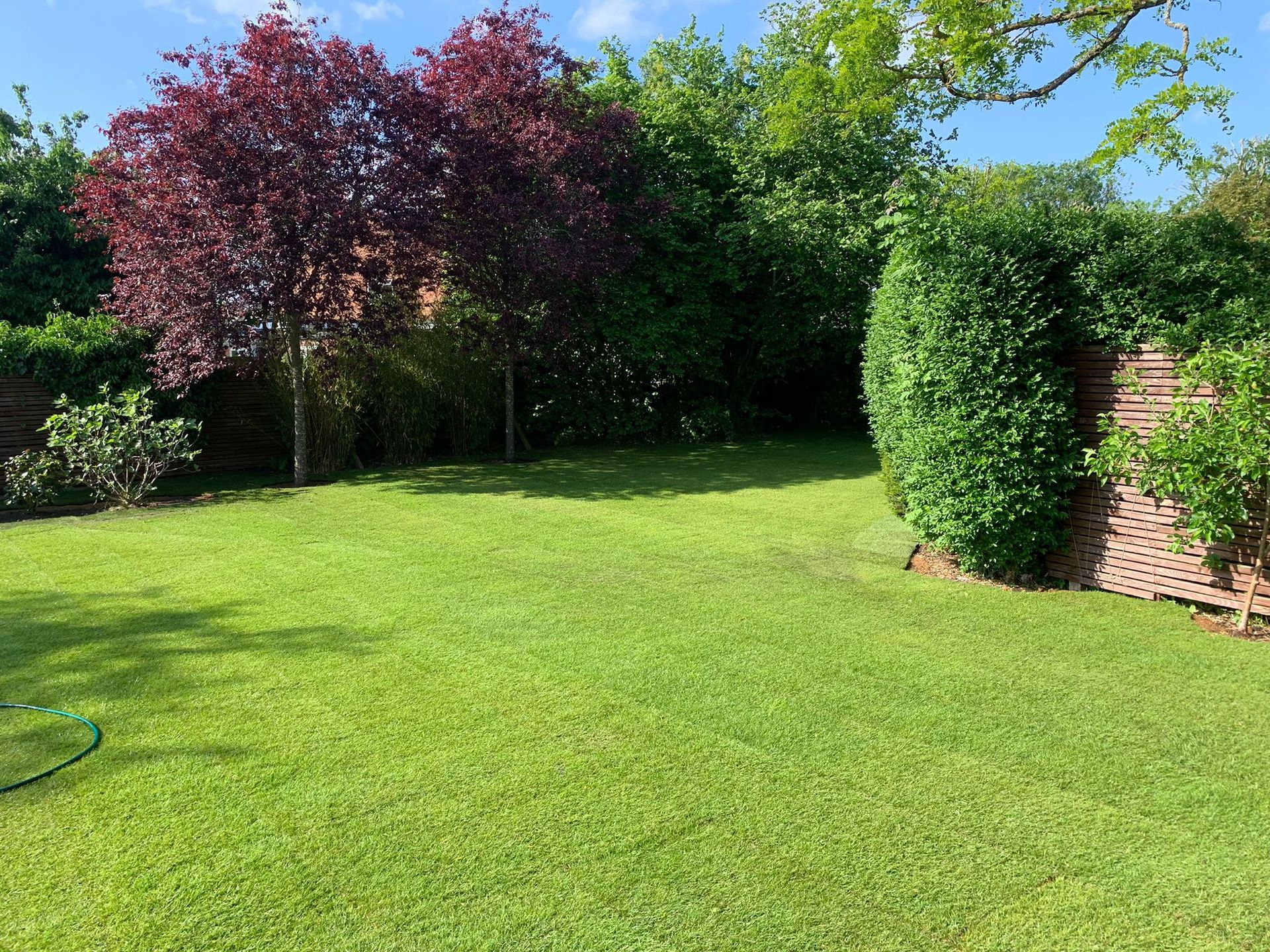 Lawn Turfing Services