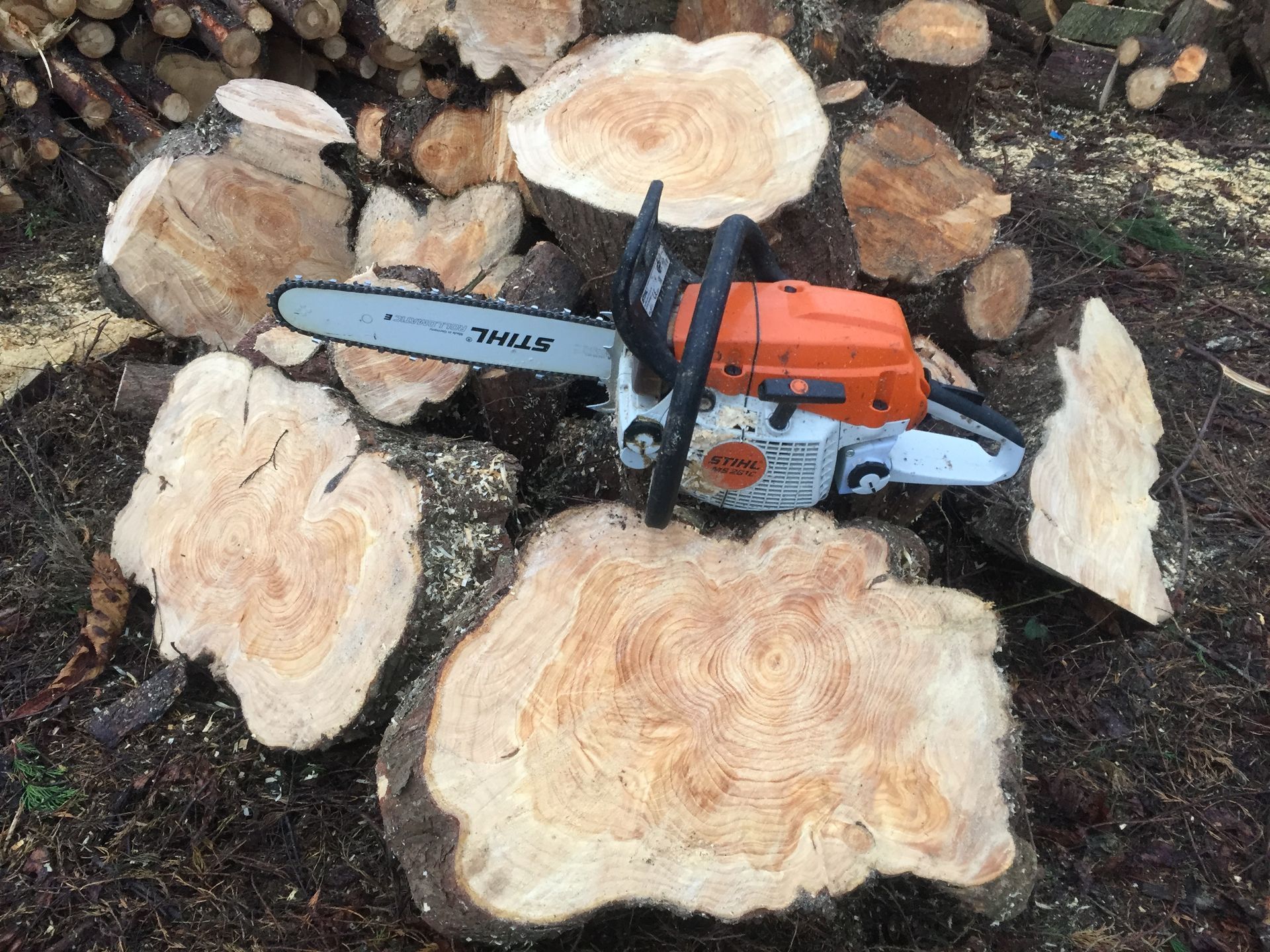 A chainsaw is sitting on top of a tree stump.