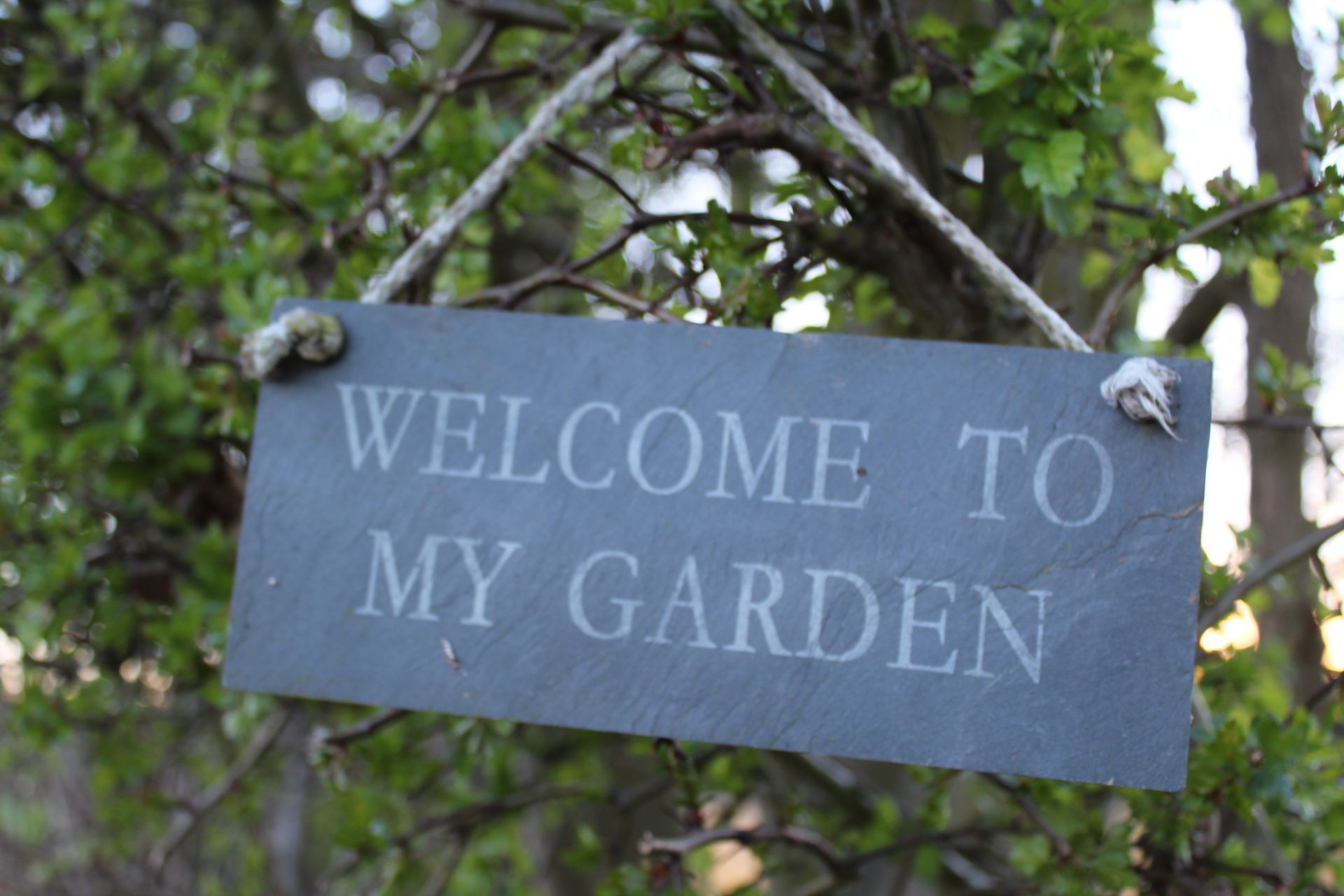 A sign hanging from a tree that says welcome to my garden