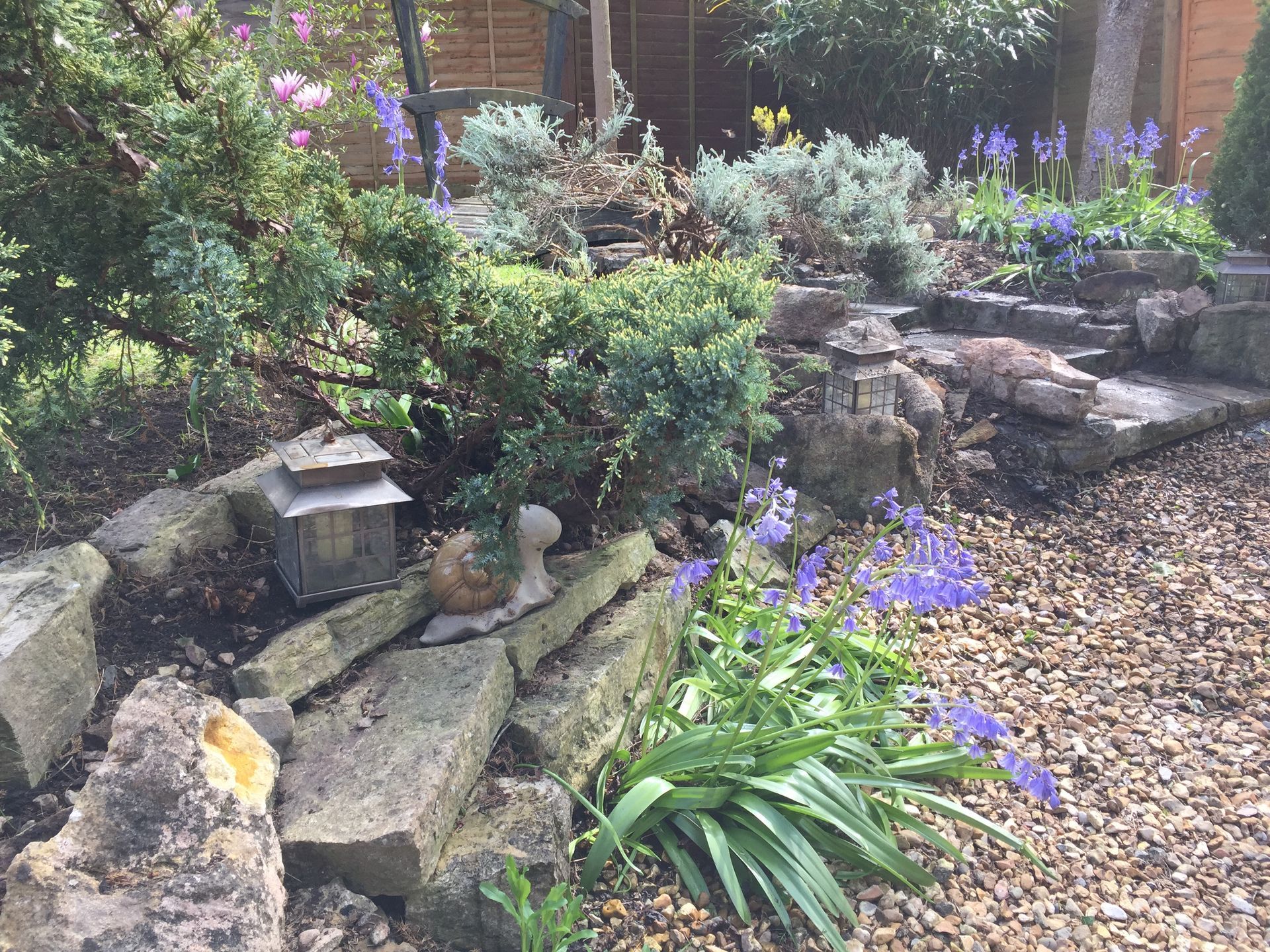 A garden filled with lots of rocks and plants.
