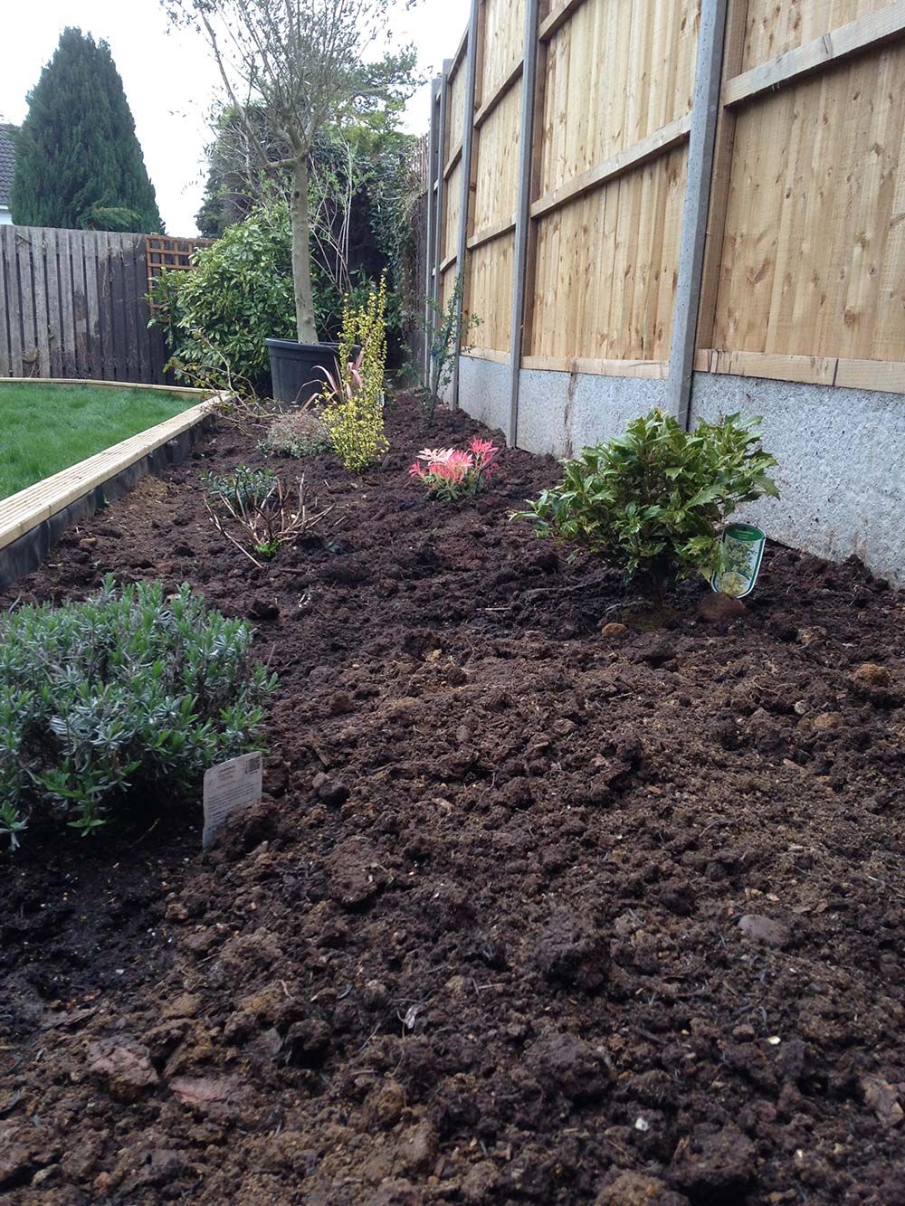 Weed Control and Fertilisation