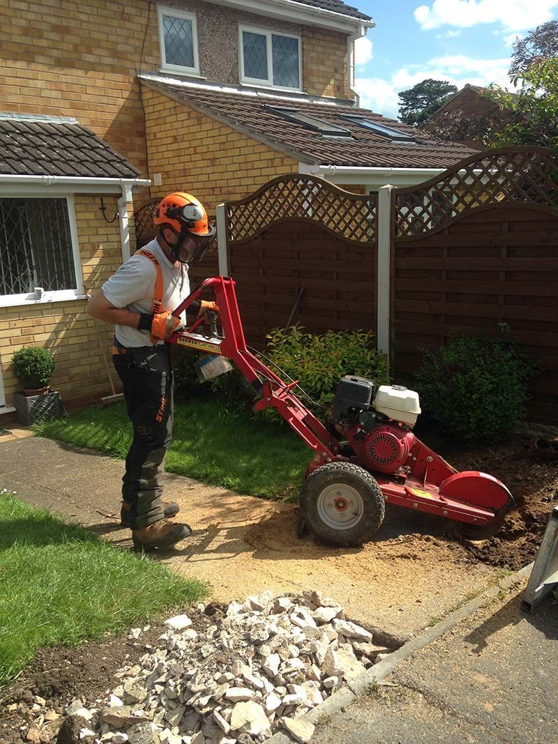 A man is using a machine to remove a tree stump.