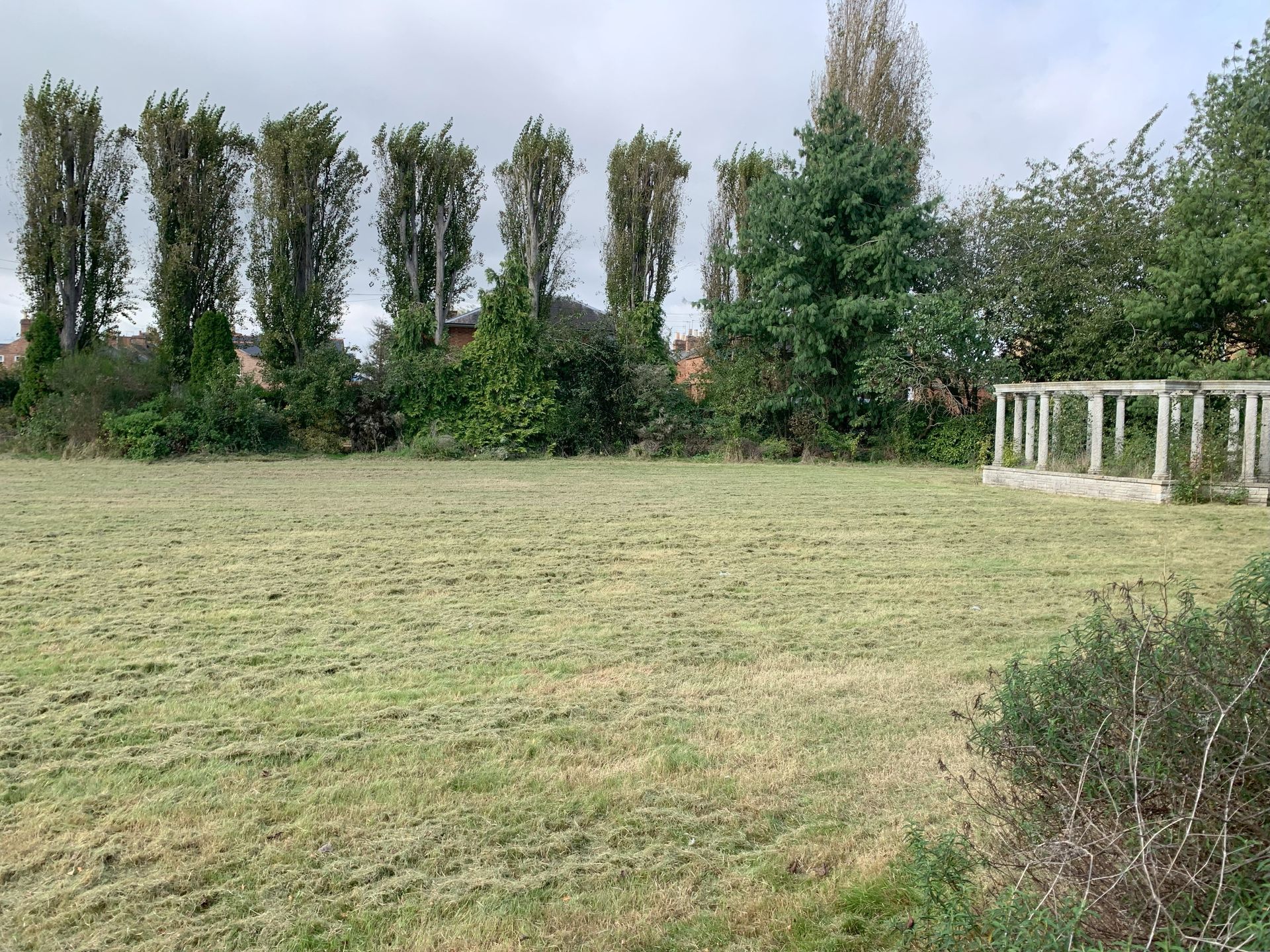 A large grassy field with trees in the background.