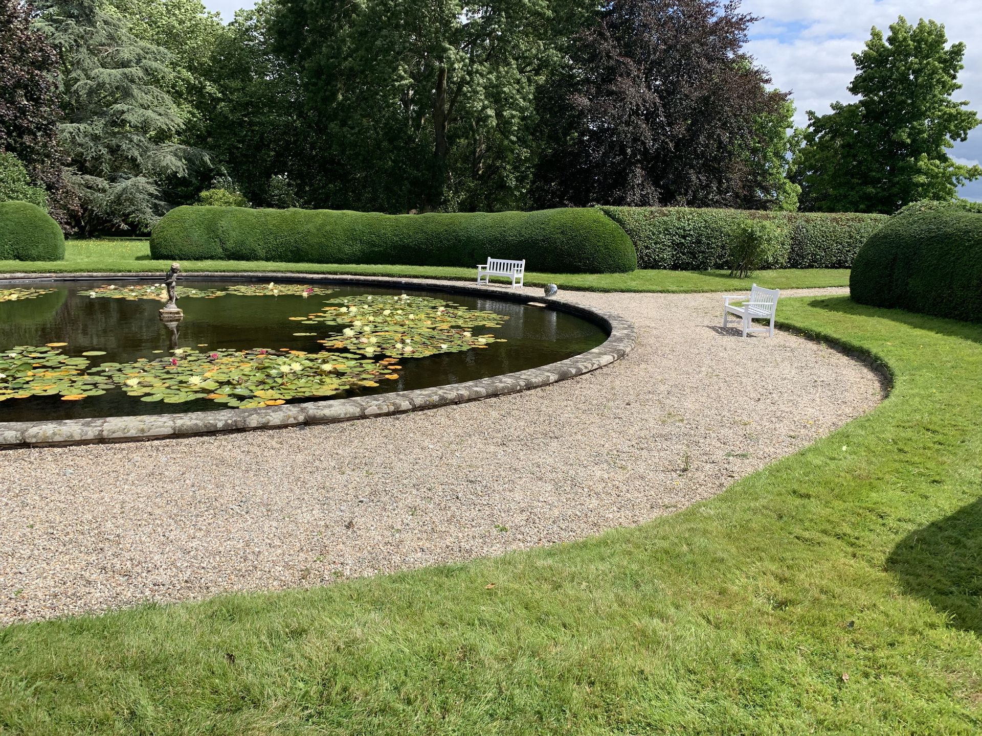There is a pond with lily pads in the middle of the park.
