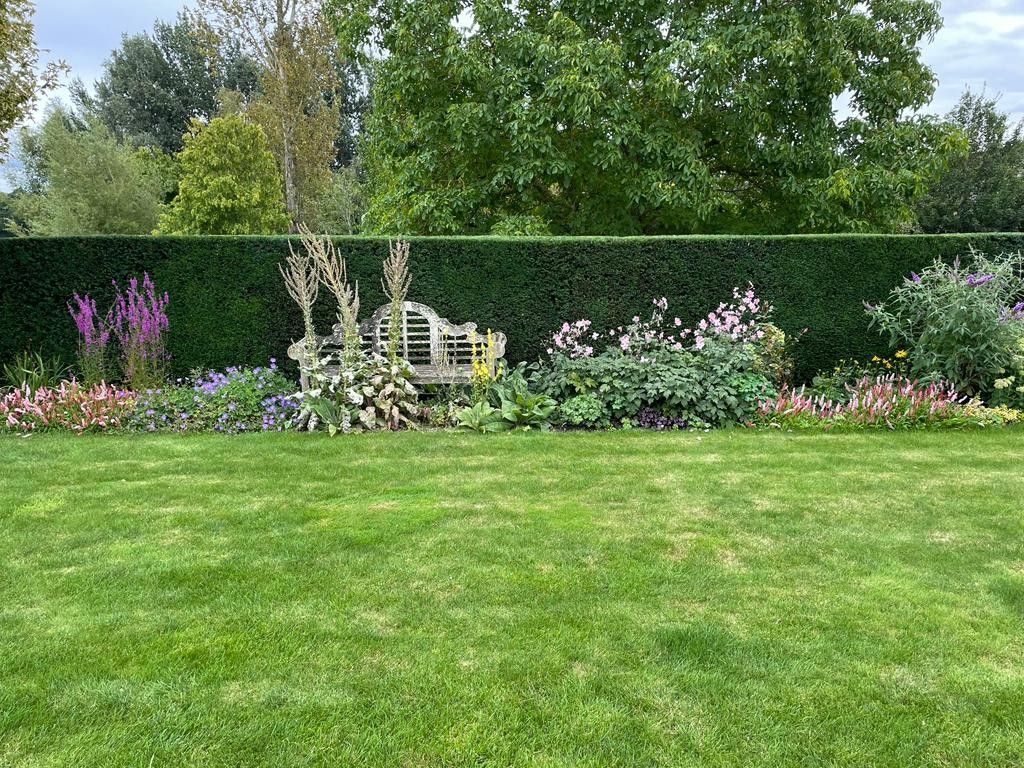 Tree and Shrub Pruning