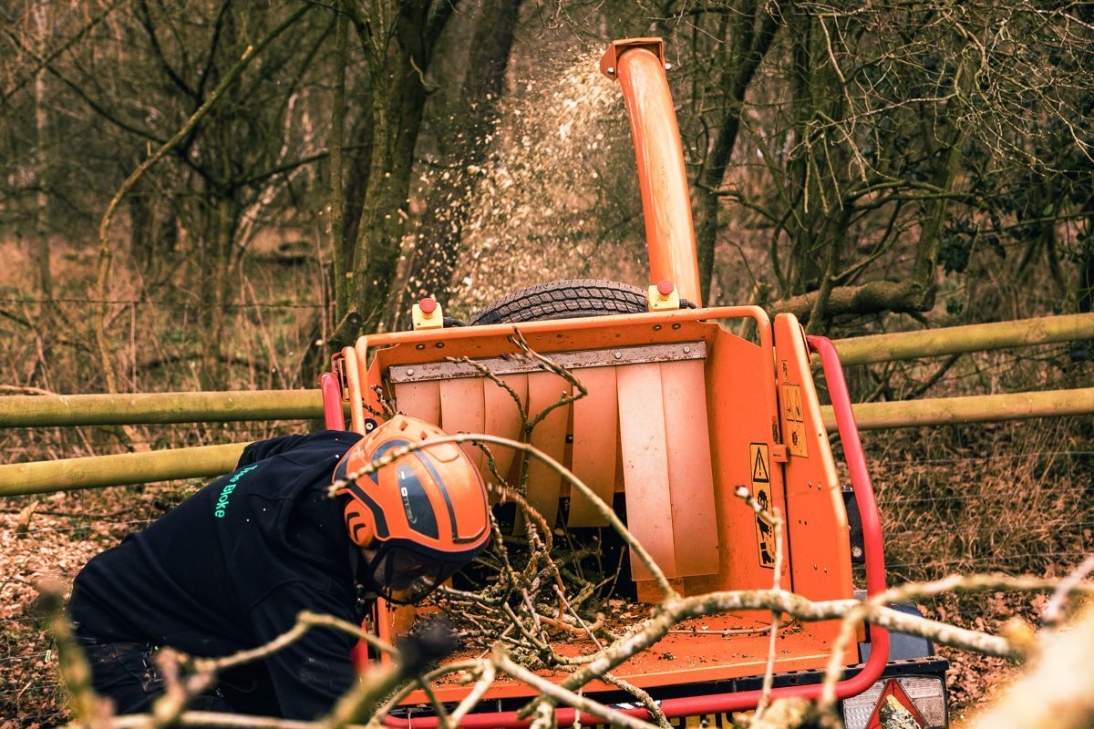 A man is cutting a tree with a machine in the woods.