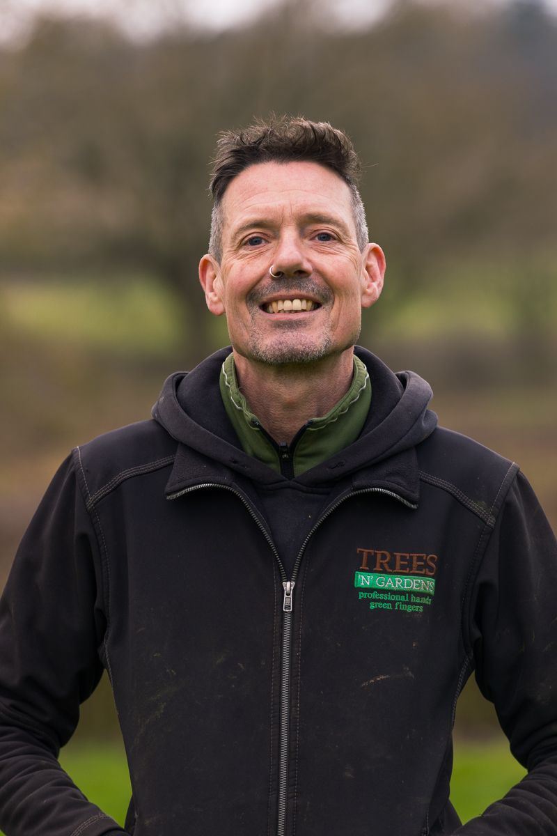 Tree Surgery Trees N Gardens