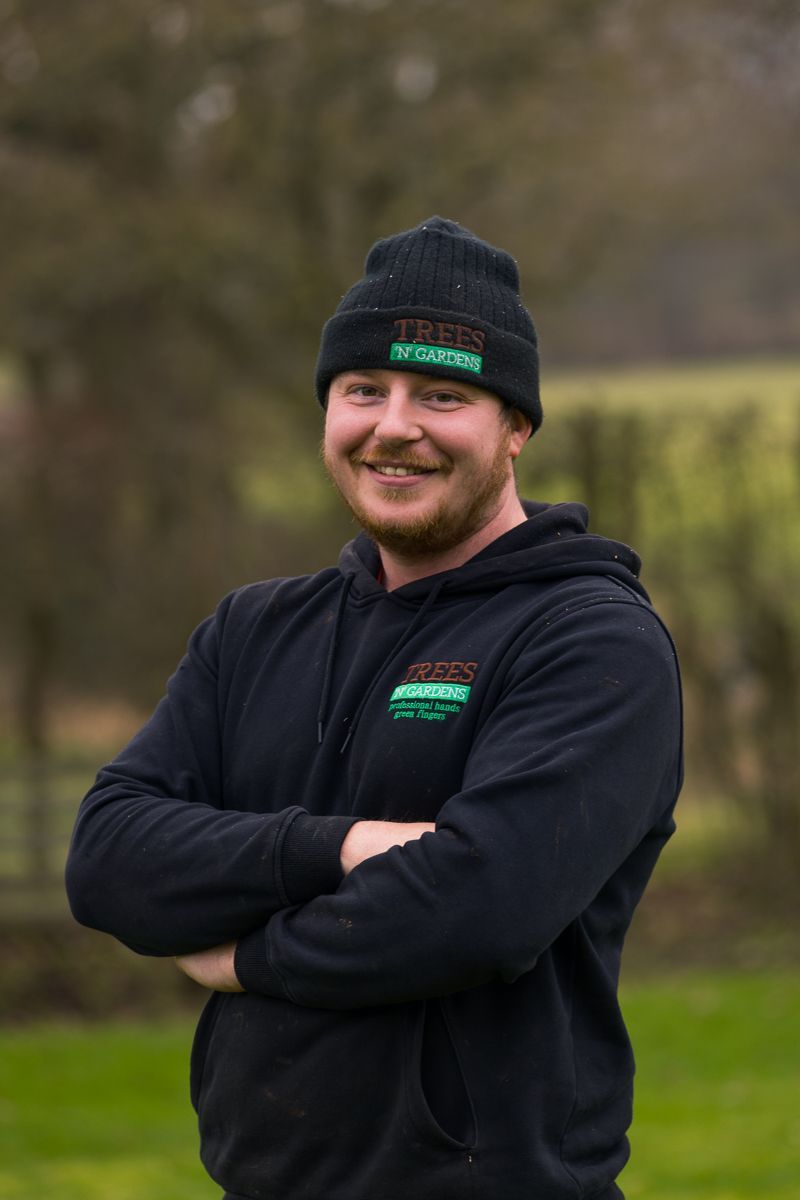 Tree Surgery Trees N Gardens