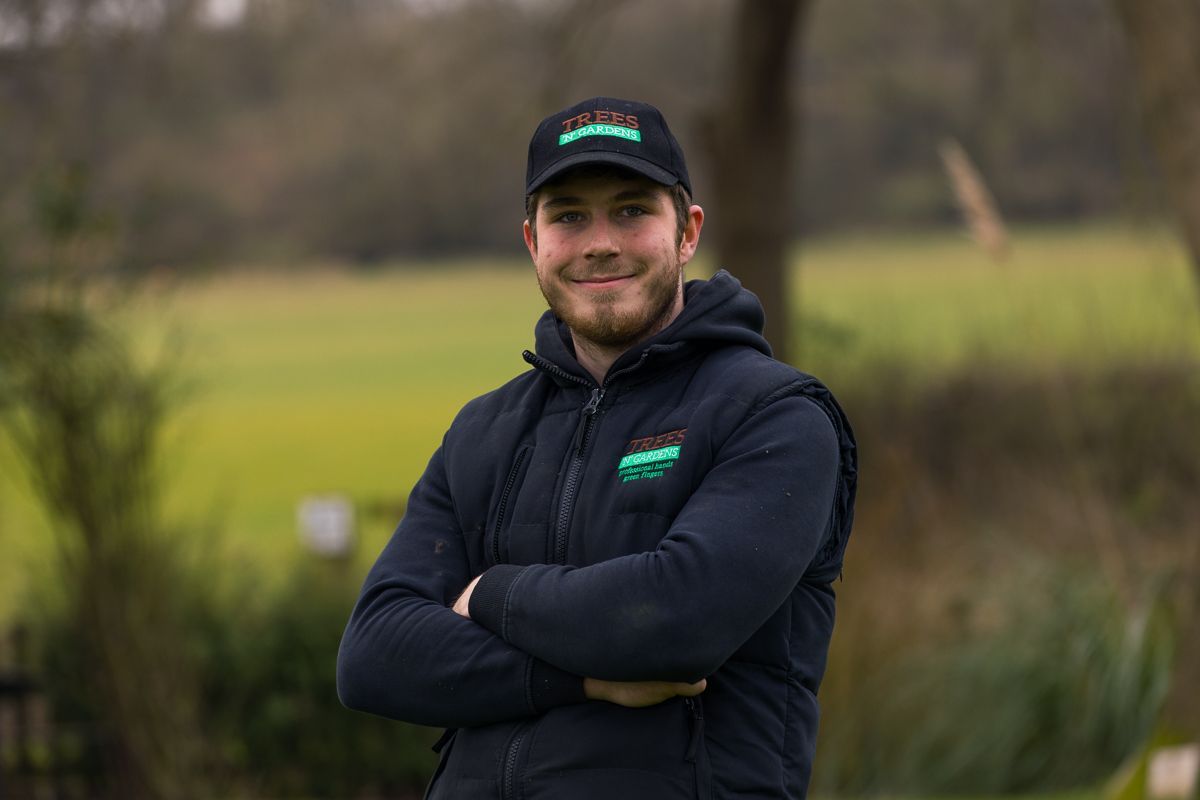 Tree Surgery Trees N Gardens