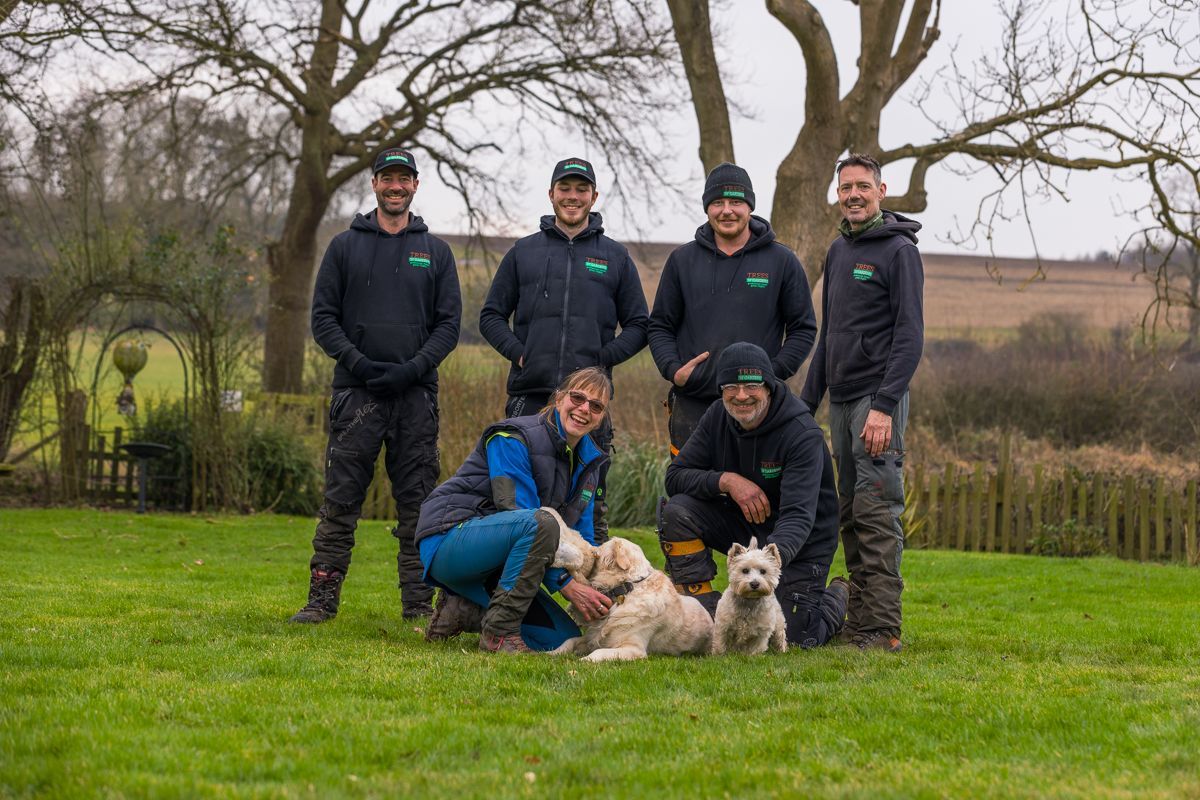 A group of people are posing for a picture with their dogs.