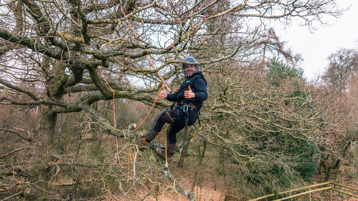 A man is climbing a tree with a rope and giving a thumbs up.