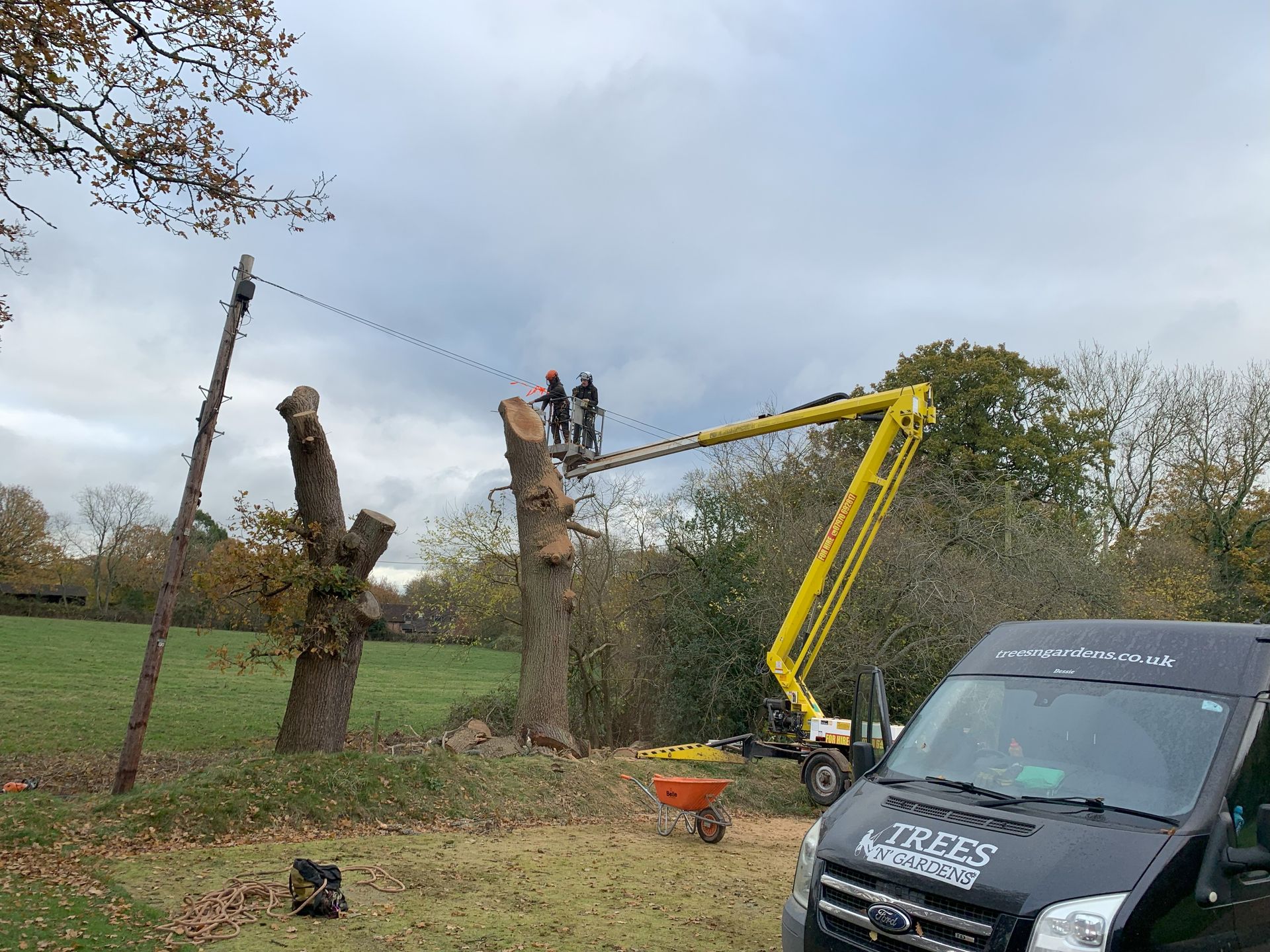 Rapid Response Emergency Tree Services