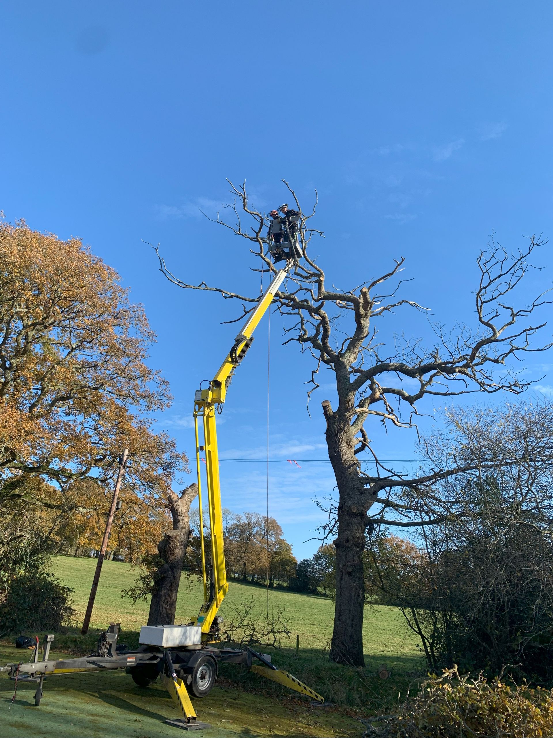 Rapid Response Emergency Tree Services