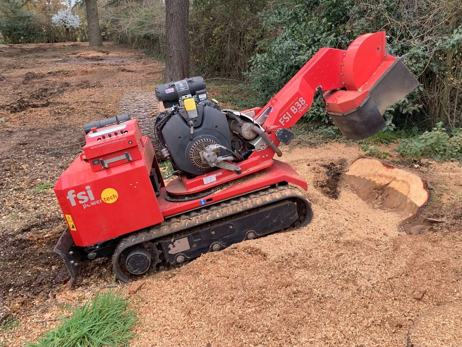 Stump Grinding and Removal