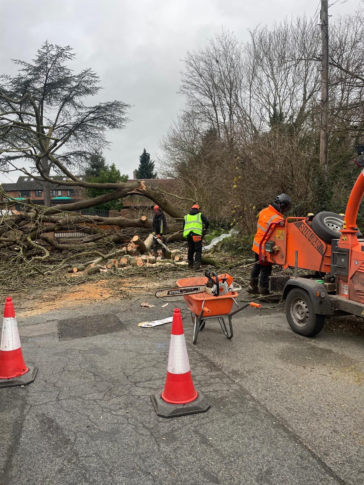 A group of people are cutting down trees on the side of the road.