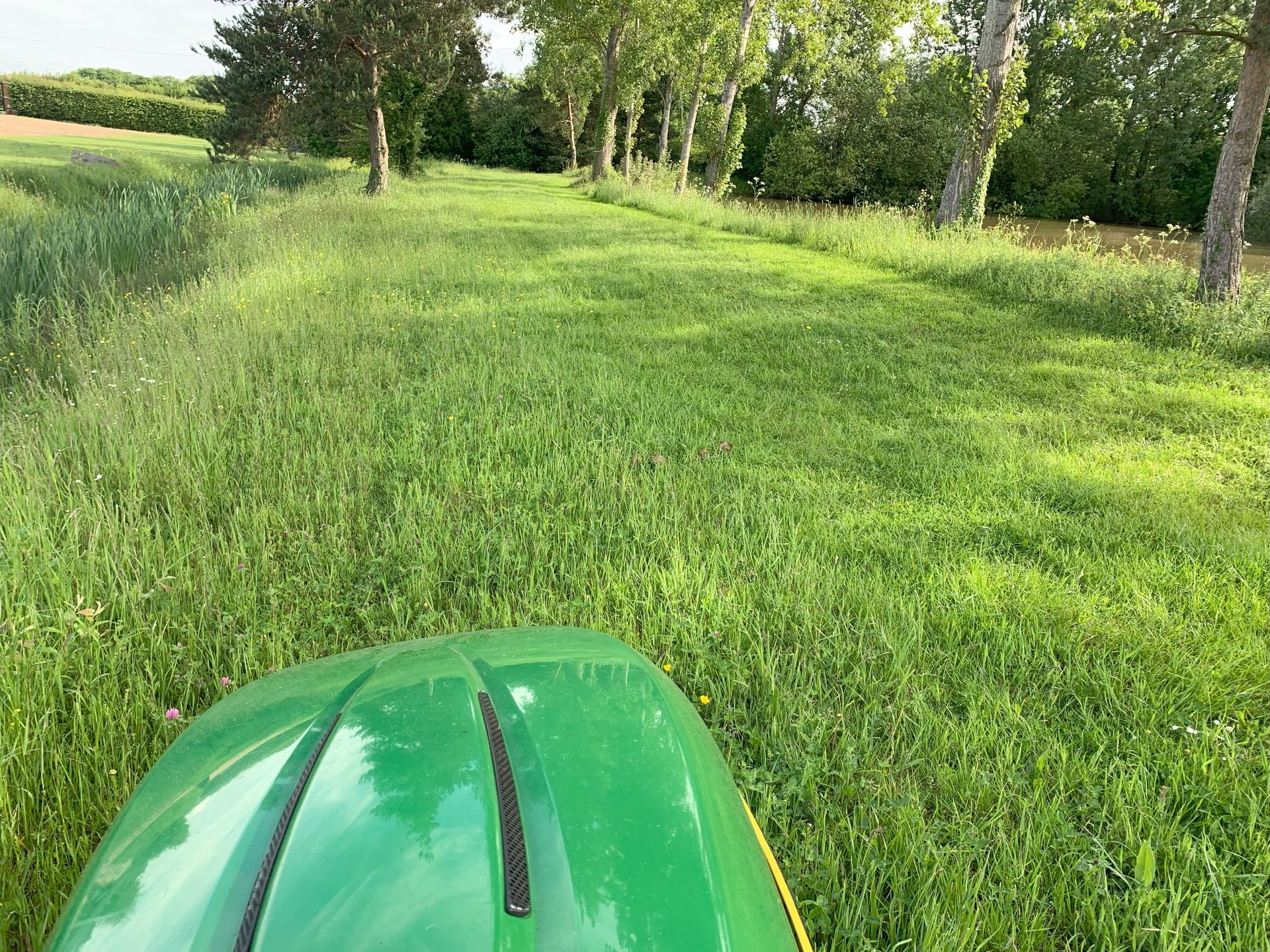 Contract Mowing