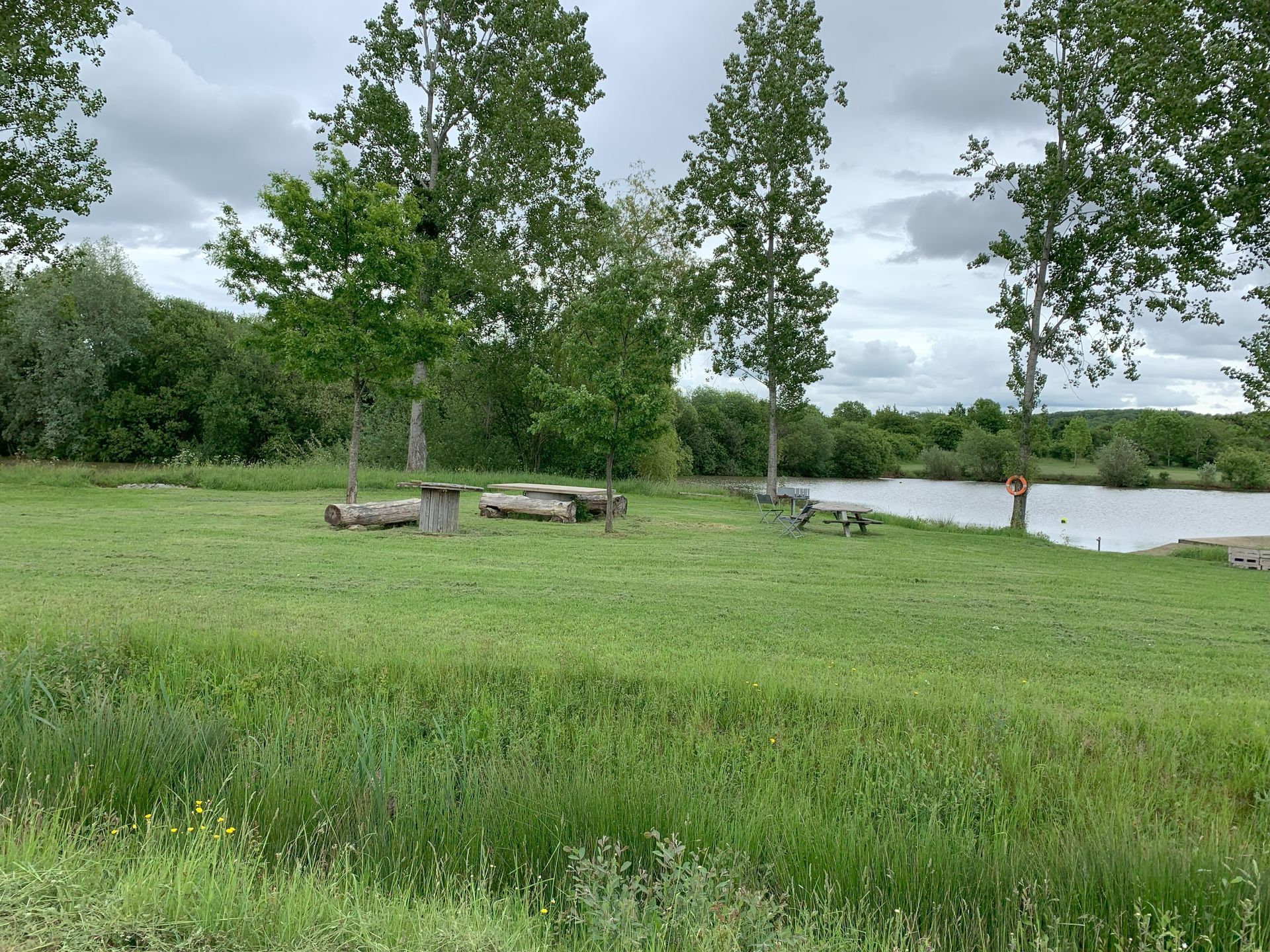A grassy field with trees and a lake in the background