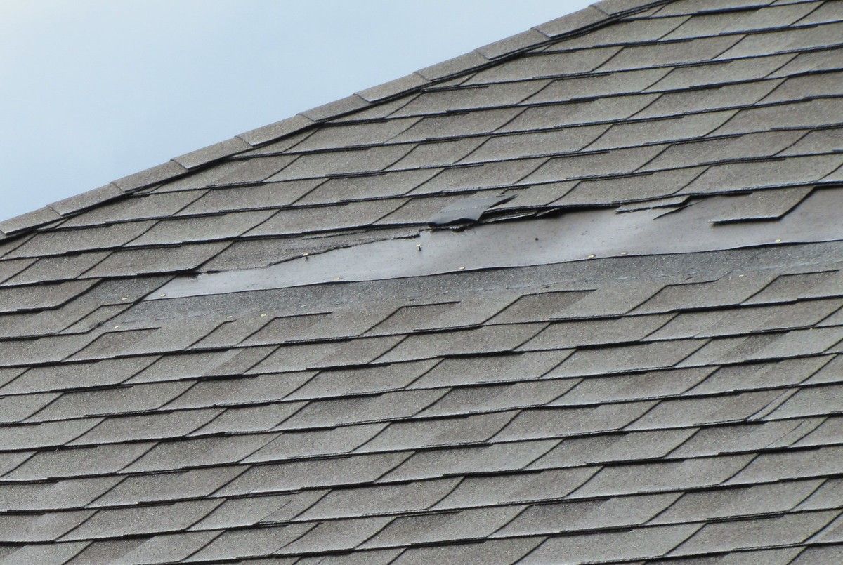 damaged shed roof