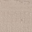 Close up of buckskin paint color
