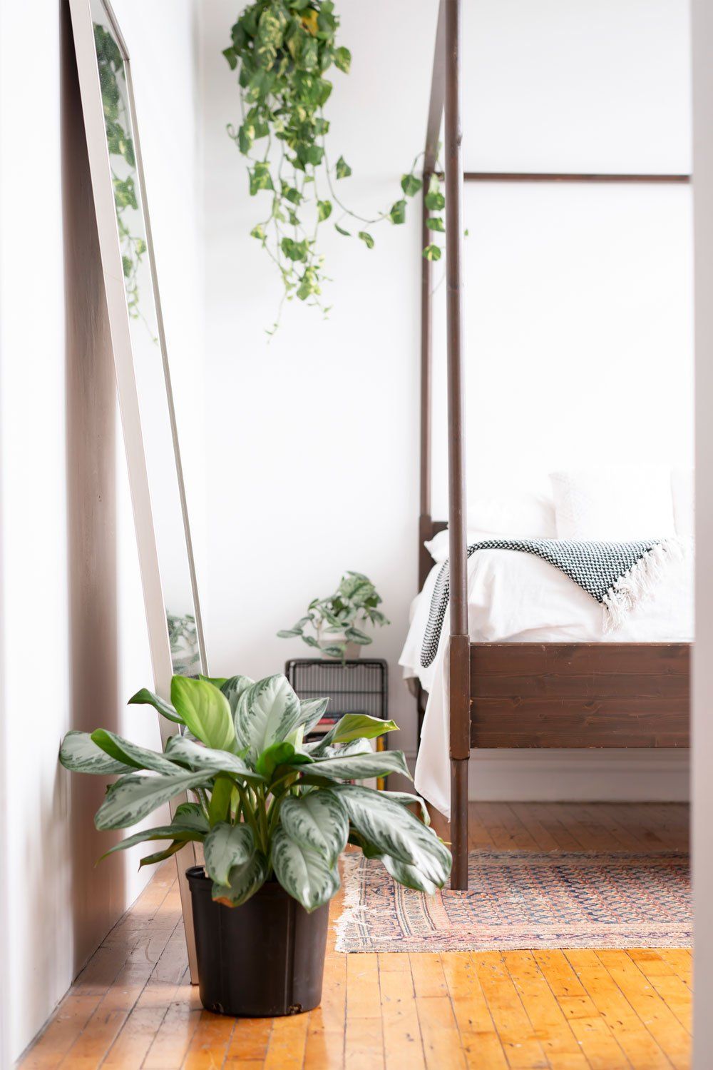 Plants On Bedroom — Allen, TX — Inspired Interiors