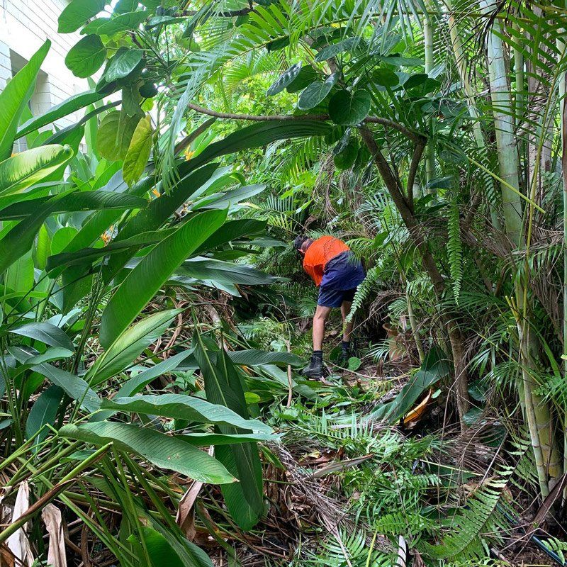 Dave Garden Cleaning — Carpenter in Darwin, NT