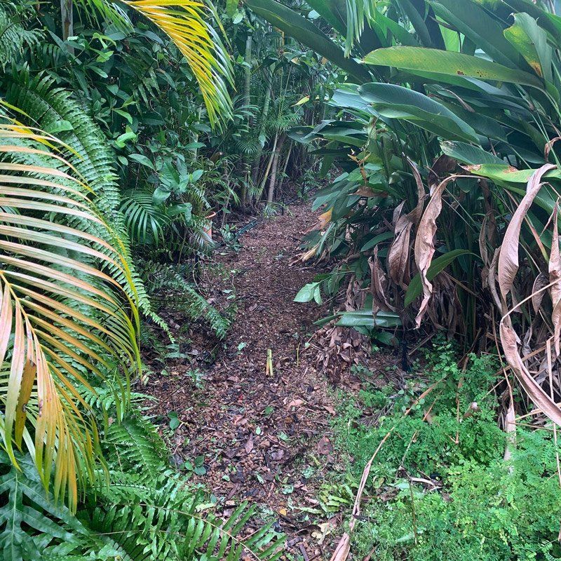 Cleaned Garden — Carpenter in Darwin, NT