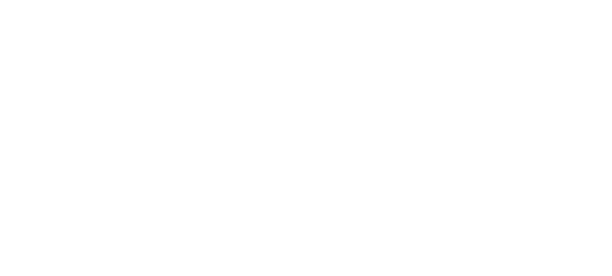 bliss logo