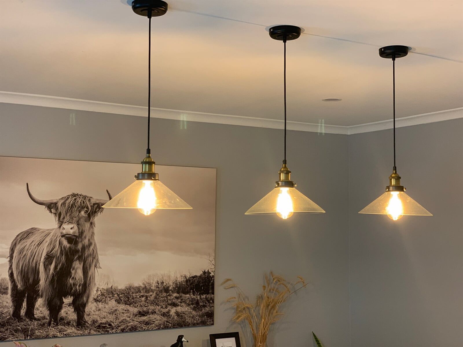 Three downlights hanging from a ceiling with a picture of a cow on the wall— DG Electrical & Fire In Kiama, NSW