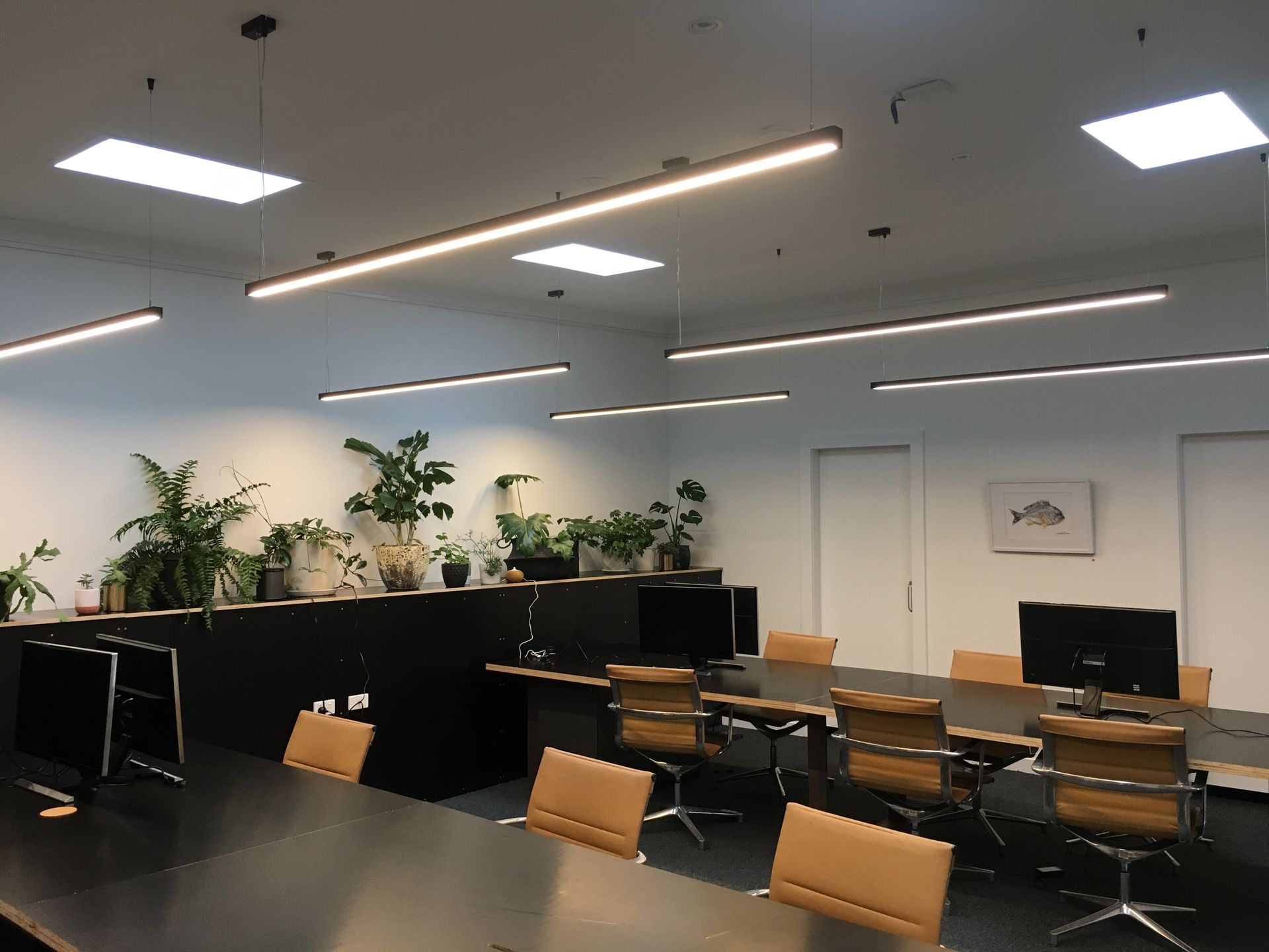 Conference Room With Long Table, Chairs, Plants, and Modern Lighting — DG Electrical & Fire In Kiama, NSW