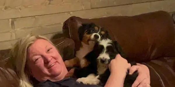 Perfect Bernedoodle, Goldendoodle, and Poodle Puppies in Arizona