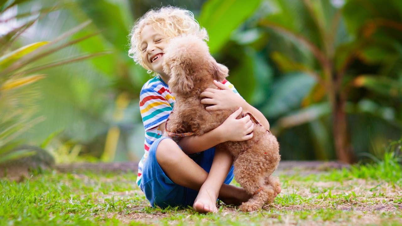 Kid-friendly dog breeds