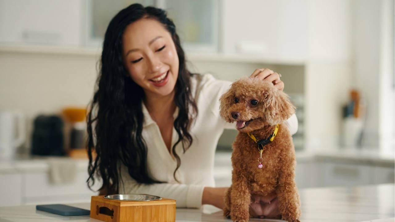 puppy feeding schedule