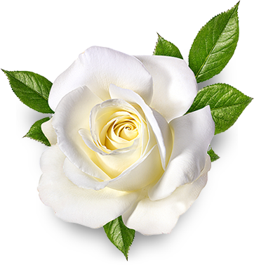 Winnipeg Funeral Home Rose