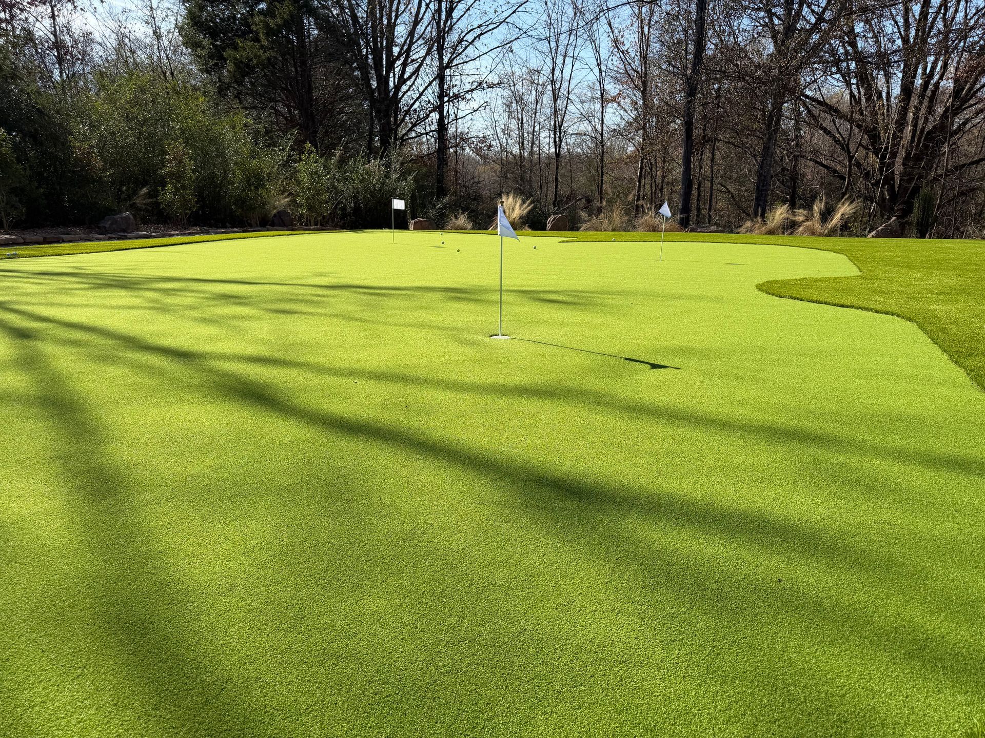 Green putting green with flag, surrounded by trees and bushes, on a sunny day.