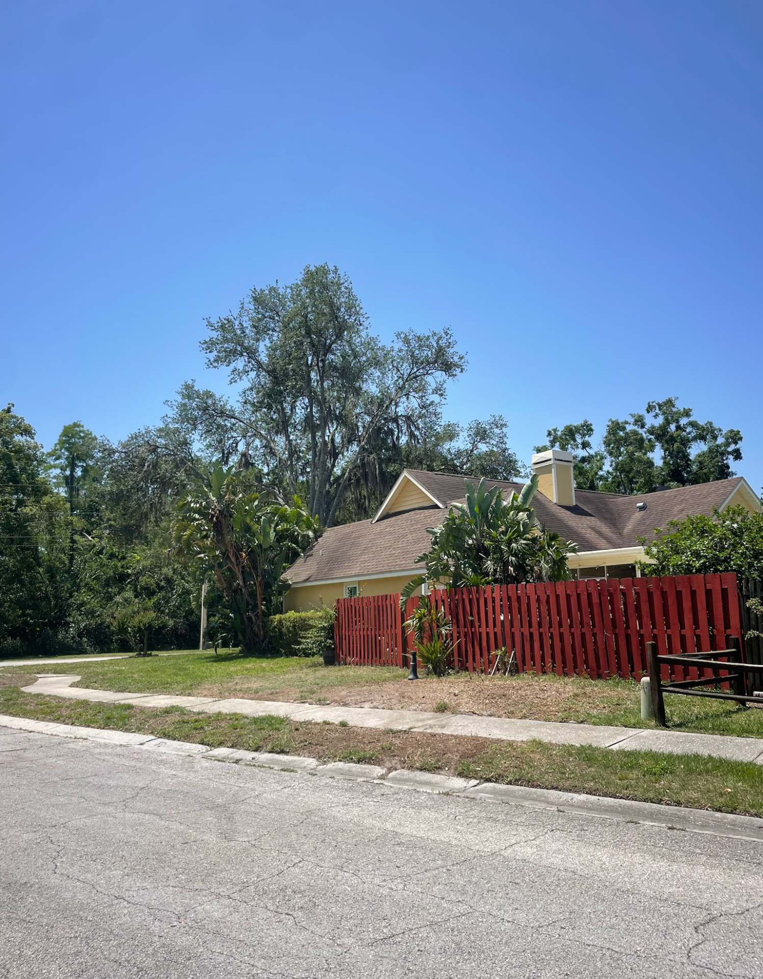 Stump Grinding Services Pinellas County FL