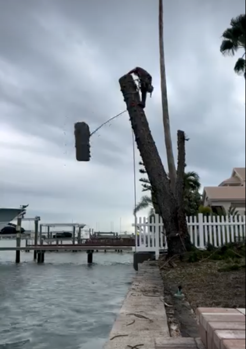 South pasadena pruning equipment