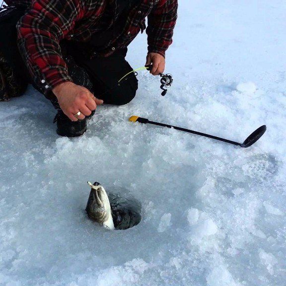 Photo of a man pulling a fish out of an ice fishing hole