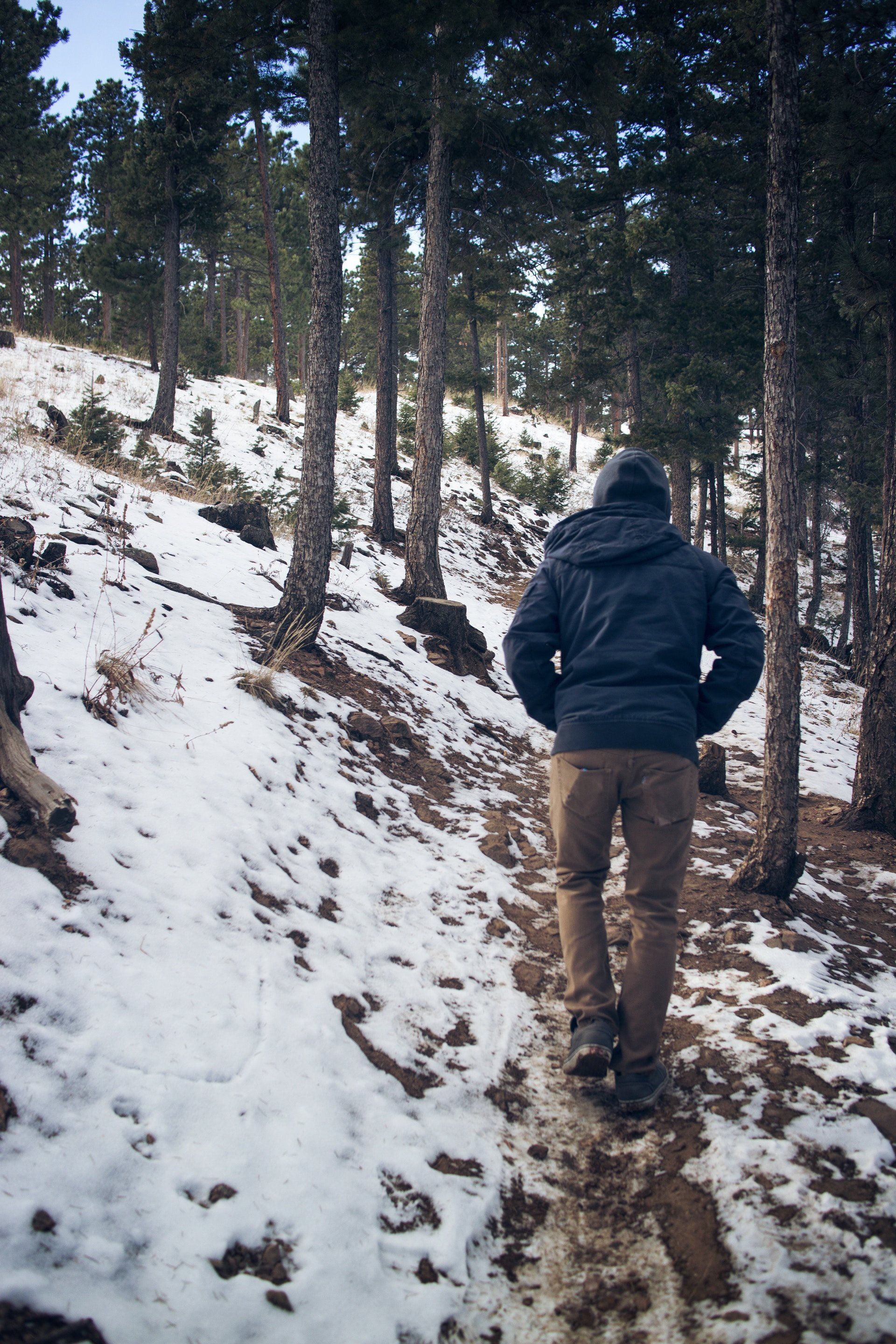 Photo of a man hiking through the forest