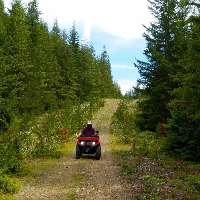 An all terrain vehicle driving through the forest
