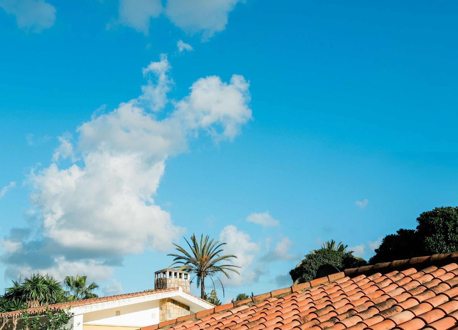 summer roof protection