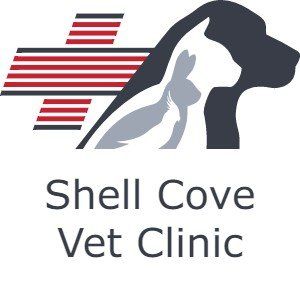 Shell Cove Vet Clinic